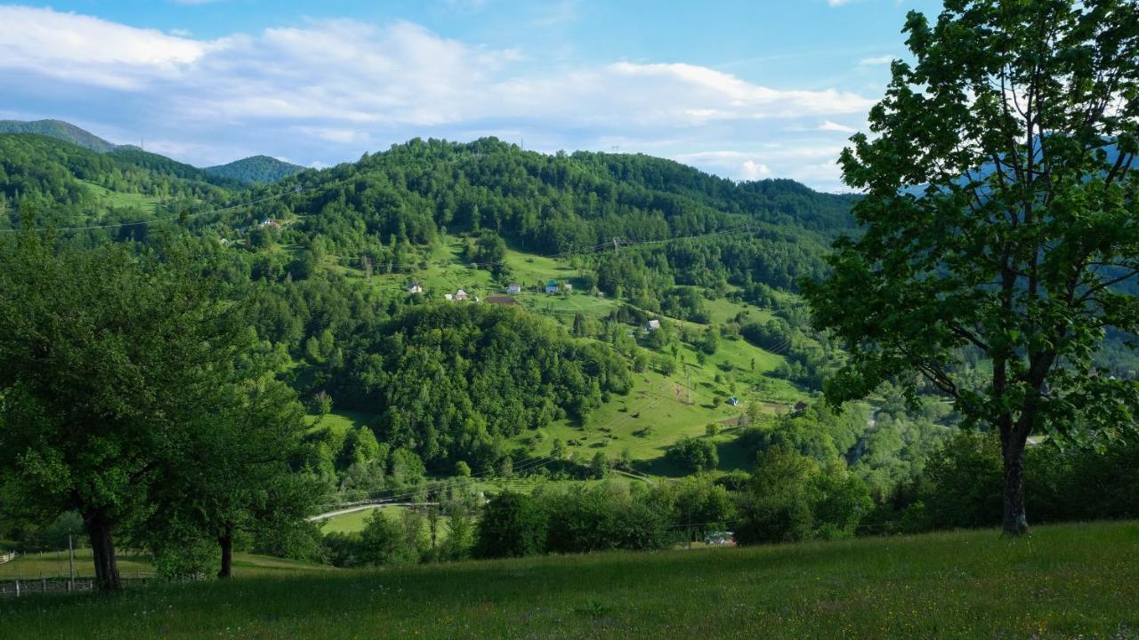 Fern Farm Eco Resort Mojkovac Exterior foto