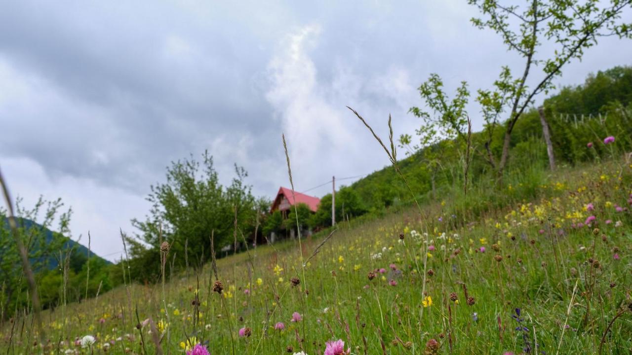 Fern Farm Eco Resort Mojkovac Exterior foto