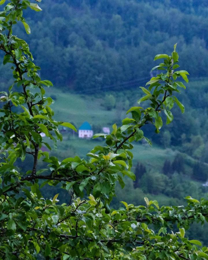 Fern Farm Eco Resort Mojkovac Exterior foto