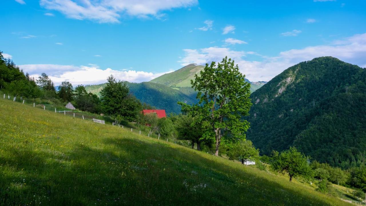 Fern Farm Eco Resort Mojkovac Exterior foto